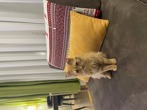 Gariban Fadi ye umut dolu bir yuva fotoğraf