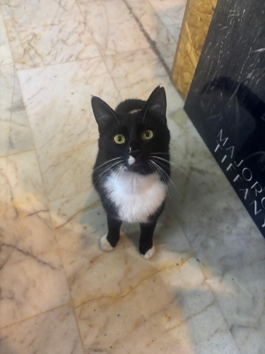 Çok Sevimli, Lütfen Şans Verin fotoğraf