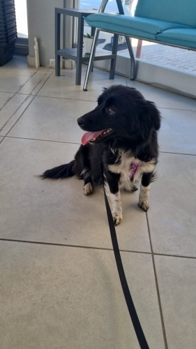 Rus Finosu Kızımız fotoğraf