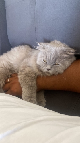 Balım’a ömürlük yuva fotoğraf