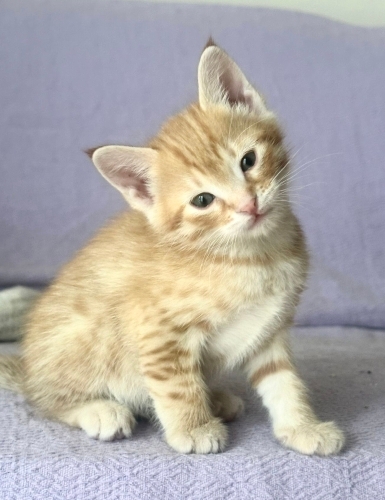 Çayyolu Sude Oğlumuz Yuvaya Gitmeye Hazır fotoğraf