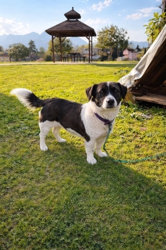 Luna parka terkedilmiş bir kız fotoğraf