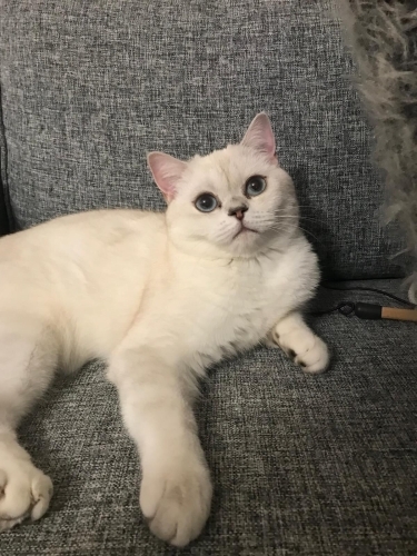 Güzel kızımıza ömürlük yuva fotoğraf