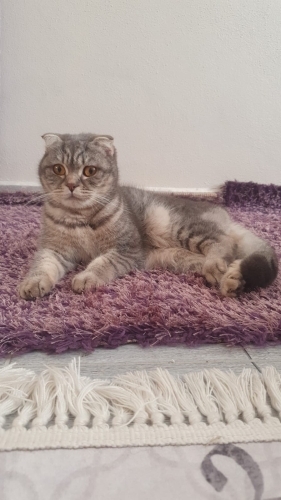 TERK EDİLMİŞ GÜZELLİK fotoğraf