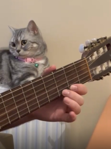 Prensesime yuva arıyorum fotoğraf