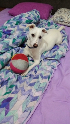 Barınağa gitmeden son çıkış fotoğraf