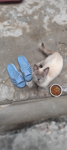 Mars'a acil yuva fotoğraf