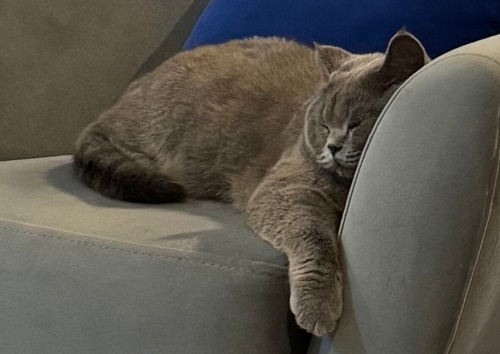 Duman kızımıza yuva arıyoruz fotoğraf