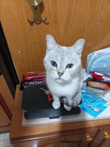 Acil yuva arıyorum fotoğraf