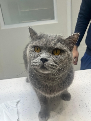 Lütfen sonuna kadar okuyun … fotoğraf