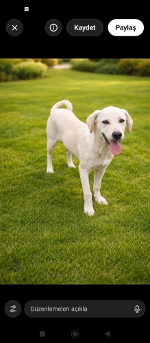 O bır prenses bahcelı oynayabılecegı bır yuva ıstıyor fotoğraf