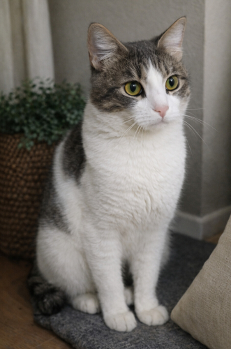 AÇIKLAMAYI OKUYUNUZ LÜTFEN fotoğraf