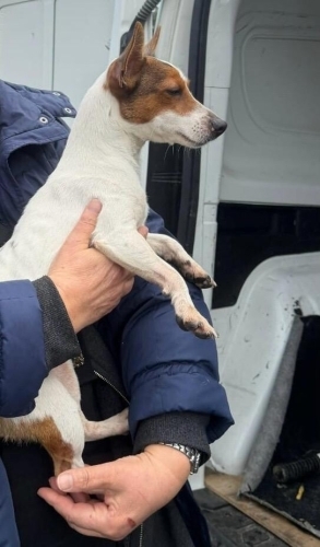 Oyuncu çok sevecen ve hareketli fotoğraf