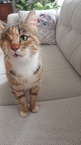 Gözünün Birini Kaybeden Bir Kıza Yuva Olur musunuz fotoğraf