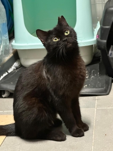 TERK EDİLMİŞ GÜZELLİĞE YUVA fotoğraf