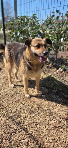 YOLU BARINAĞA DÜŞMESİN fotoğraf