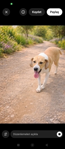 Gülen yüzünü soldurmayacak yenı aılesını arıyor fotoğraf