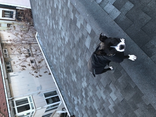 KIZIMIZI SAHİPLENDİRİYORUZ fotoğraf