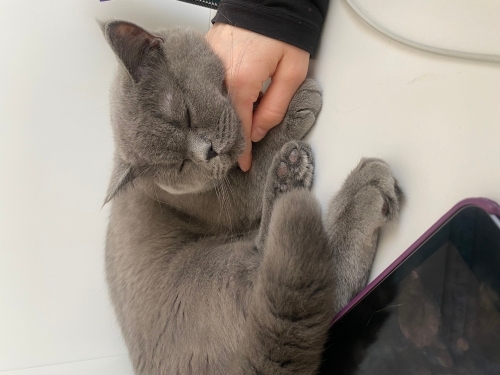 Güzel oğluma yuva arıyorum fotoğraf