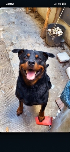 Onu görünce anlayacaksın fotoğraf