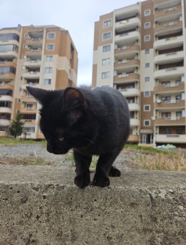 Tel:0545 806 86 49 ÜCRETSİZ fotoğraf