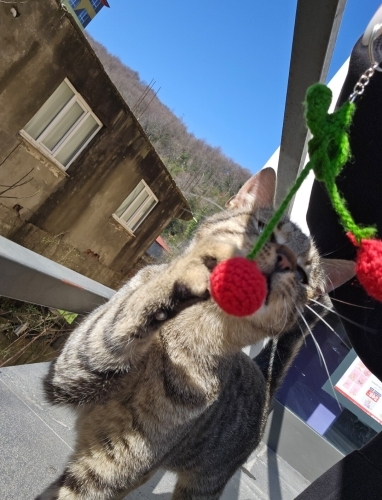 Tel:0545 806 86 49 ÜCRETSİZ fotoğraf