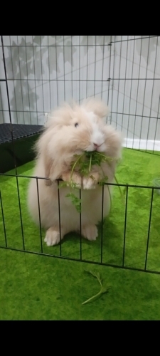 Ücretsiz Sevgi dolu ilgi bağımlısı kızıma aile fotoğraf