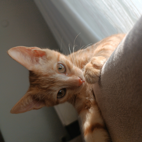 Onuda seven çıkar mı fotoğraf