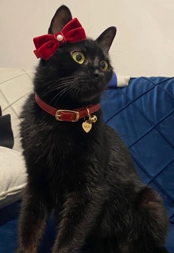 KUZGUN PRENSESİMİZE ACİİLL YUVA OL..!! fotoğraf