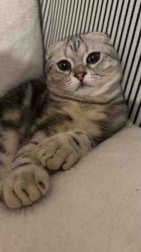 Yavrumuza Acil Yuva fotoğraf