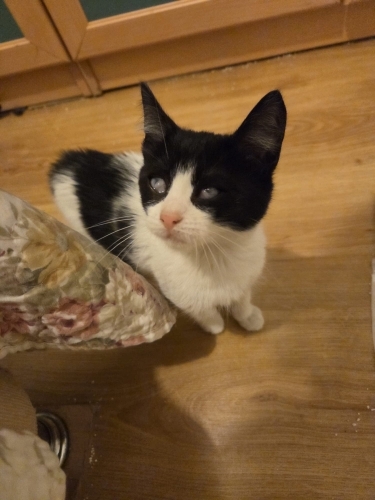 GÖRME ENGELLİ OĞLUMUZA IŞIK OLUR MUSUNUZ? fotoğraf