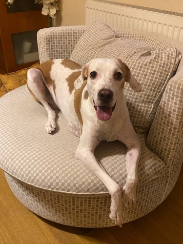 Sevgi delisi guzel kız fotoğraf