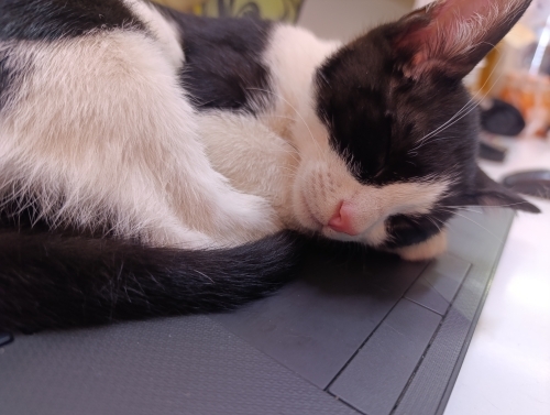 Eğlenceli sıcakkanlı bir bebek fotoğraf