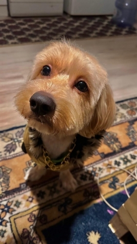 Alex ömürlük ailesini arıyor fotoğraf