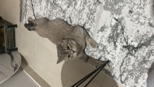 Sakin yavruma yuva fotoğraf