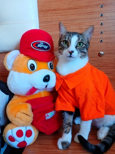 OKURMUSUNUZ YAŞADIKLARINI LÜTFEN..HİKAYESİ MUTLU SONLA BİTSİN Mİ fotoğraf