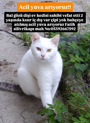 Açıl yuva sahibi vefat etti Yuva fotoğraf