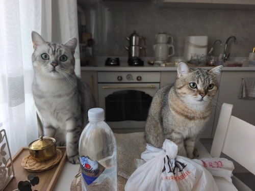 Baba ve Oğul Yuvalarını Bekliyorlar fotoğraf