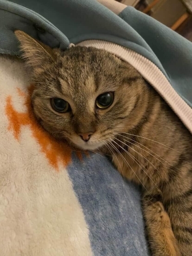 GOFRETİMİZE YENİ YUVA fotoğraf