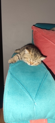 Çocuğumuz çok oyuncu fotoğraf