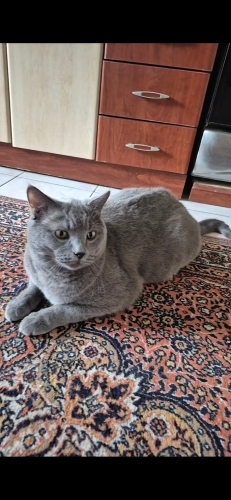Oğluma ömürlük yuva fotoğraf