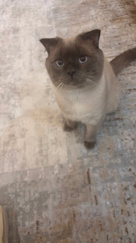 Kante mize yuva arıyoruz fotoğraf