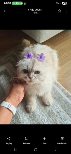 Masum yüzlü bebeğim fotoğraf