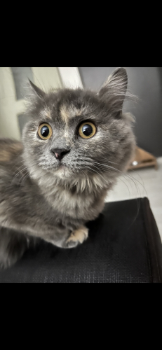 Yavrumuza acil yuva.. fotoğraf
