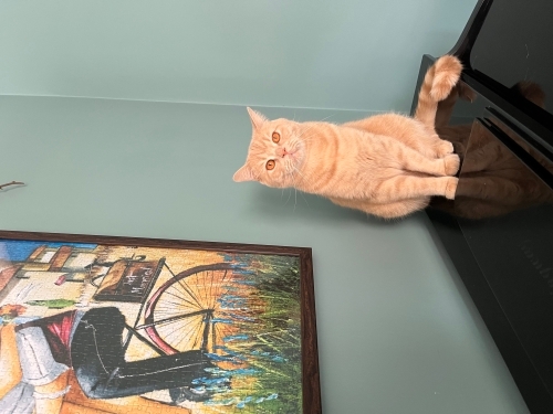 Bebeğimiz olduğu için mecbur yuva fotoğraf