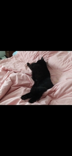 Onu görün sıcaklığı hissedin acil sahip fotoğraf