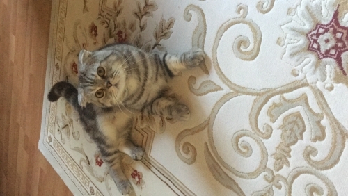Oyun ve ilgi bağımlısı fotoğraf