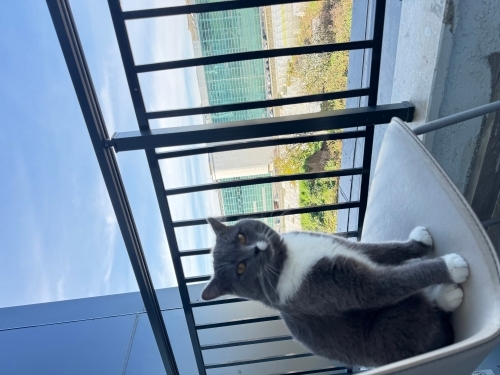 Sevgiyle bakacak aile arıyoruz fotoğraf