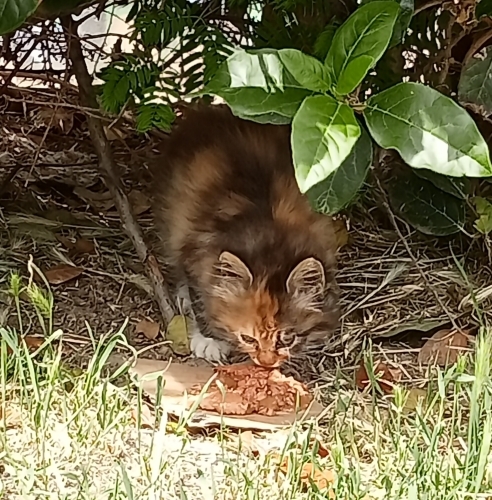 Tek başına sokağa atılmış bir bebek fotoğraf