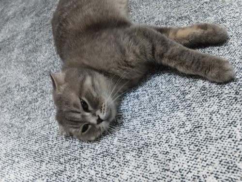 Tam bir prenses fotoğraf